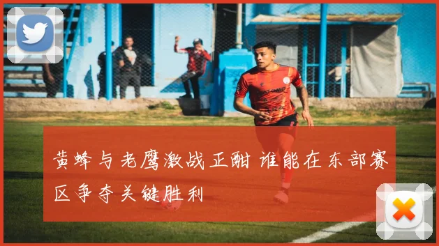 黄蜂与老鹰激战正酣 谁能在东部赛区争夺关键胜利