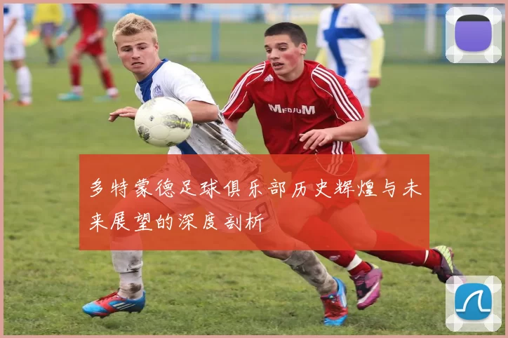 多特蒙德足球俱乐部历史辉煌与未来展望的深度剖析