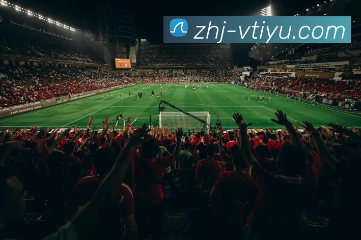 vtiyu全站App